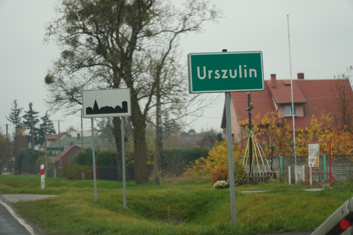 Chowają las w słoiku