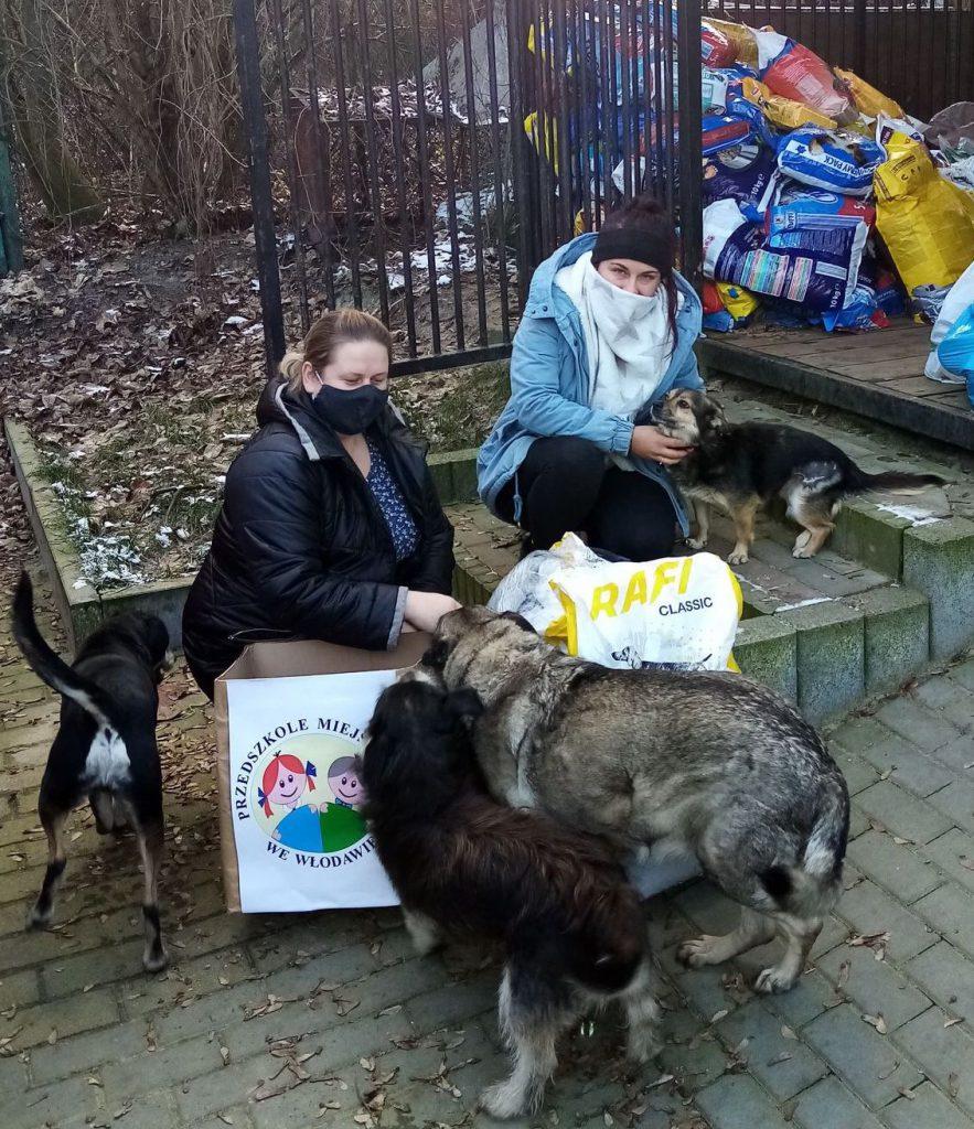 Przedszkolaki pomagają bezdomnym czworonogom