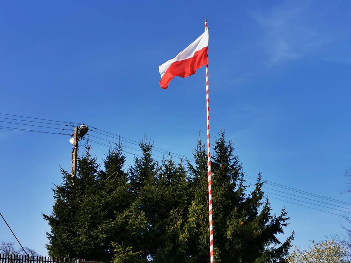 Narodowe Święto zobaczymy online