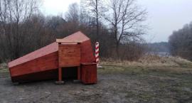 Mogą słuchać przyrody w szczególny sposób