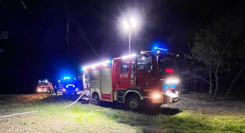 Palił się las w okolicy Podosia. Strażacy ruszyli na ratunek!