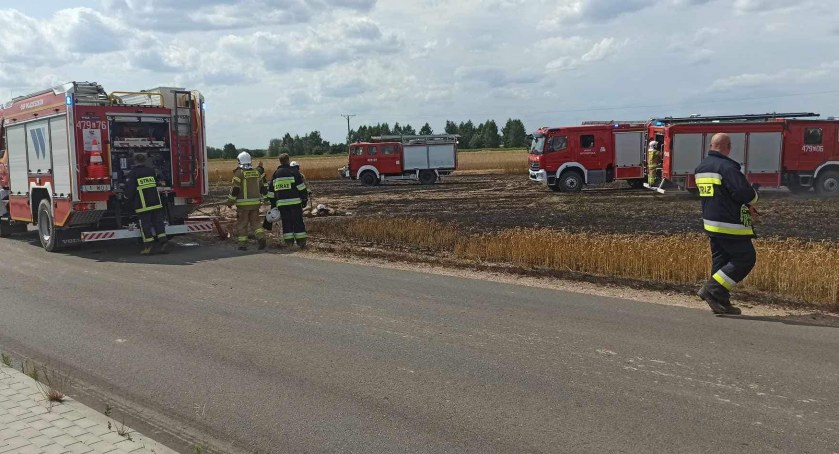 Pożar zboża na polu. Strażacy zakończyli akcję gaśniczą (ZDJĘCIA) 