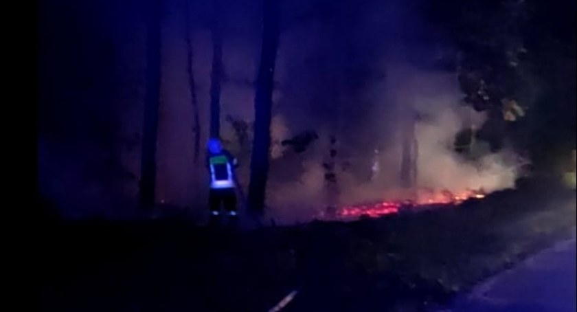 Nie ma dnia bez podobnej interwencji. Strażacy mają ręce pełne roboty 