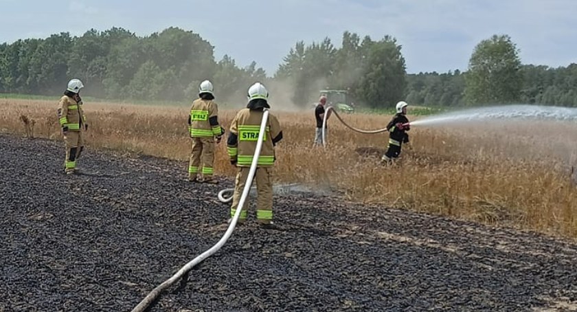 Podpalacz zaatakował w niedzielę. Spłonął hektar pola (ZDJĘCIA) 