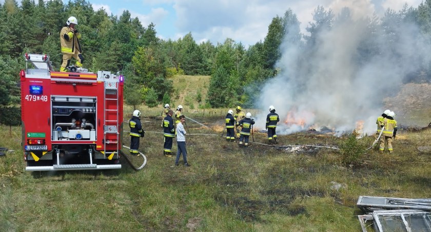 Znów płoną lasy i pola. Wszystko przez suszę! (ZDJĘCIA) 