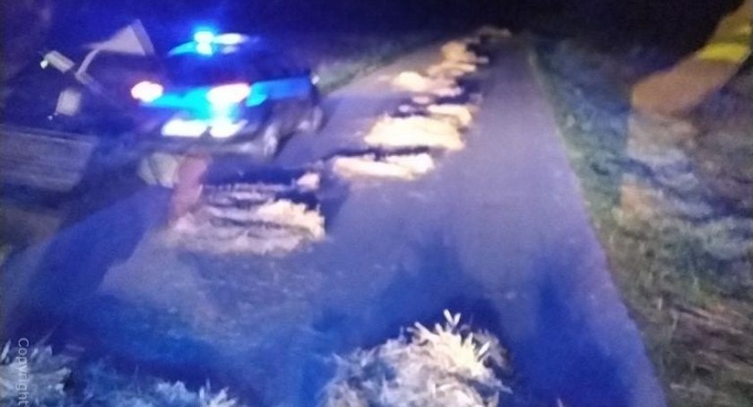 Kierowcy zaalarmowali służby. Bela słomy rozciągnięta na drodze! 