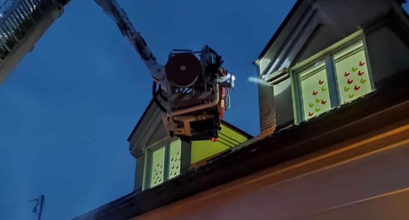 Szerszenie w przedszkolu! Pomogli strażacy (ZDJĘCIA