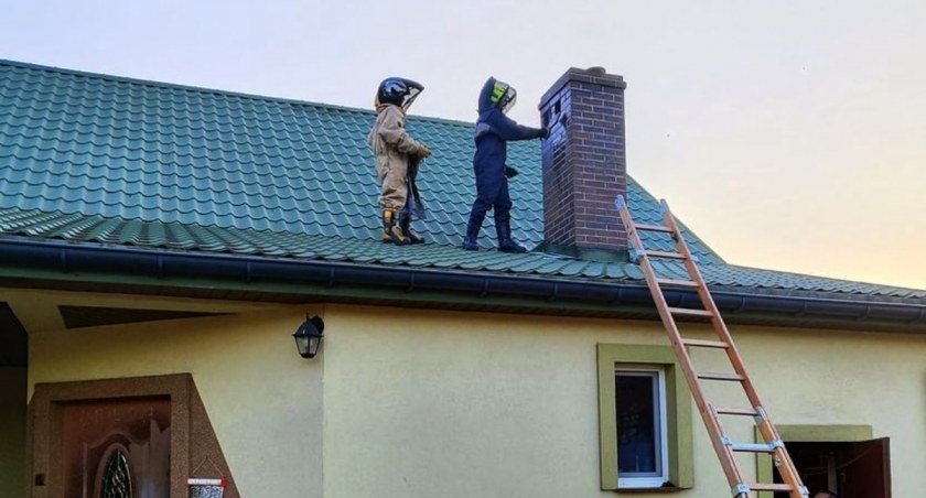 Szerszenie w kominie. Problem rozwiązali strażacy ! 