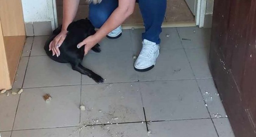 SZOK. 20-LATKA ZOSTAWIŁA SWOJĄ SUCZKĘ NA PASTWE LOSU. BEZ JEDZENIA I WODY!