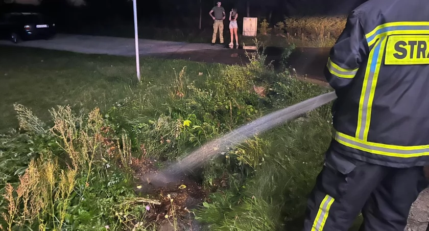 Pożar w Gręzówce. Niebezpieczne ognisko i szybka reakcja straży pożarnej 