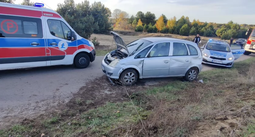 Pracowity czas strażaków z Fiukówki. Wypadek w Teodorowie i ratunek dla kota! 