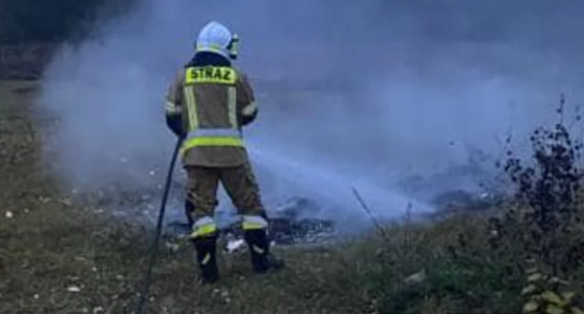 Szybka akcja strażaków z OSP Zgórznica opanowała pożar śmieci i roślin
