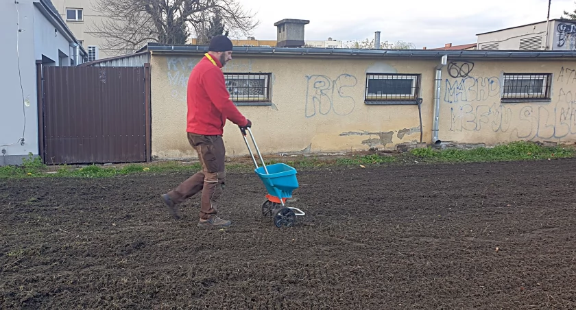 Teren przy Szkole Podstawowej nr 4 zyskuje Kwietną Łąkę (ZDJĘCIA) 