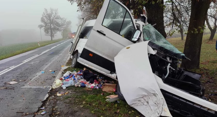 Tragiczny wypadek w Lubelskiem. Nie żyją trzy osoby, w tym dziecko 