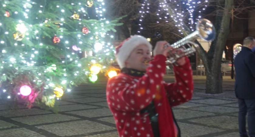 Urząd Miasta Łuków zaprasza do współpracy! Szuka choinki na Plac Solidarności i Wolności 