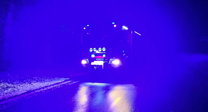 Drzewo nad drogą w Gręzówce. Strażacy ruszyli na pomoc