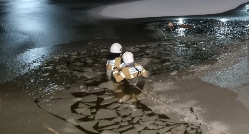 Bohaterska akcja strażaków z Adamowa: uratowali przerażoną sarenkę.