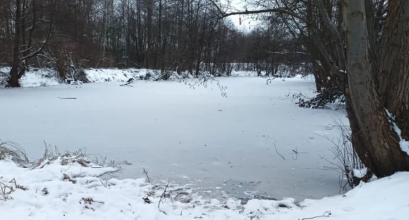 Dwie 10-latki na zamarzniętym stawie ratowały kotka!