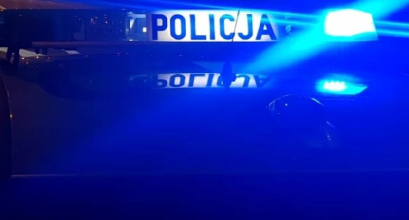 Łuków: Niebezpieczna ucieczka krów na ulicy Żelechowskiej
