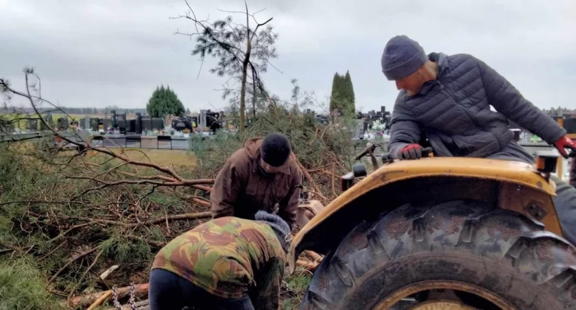 Parafia Świętej Anny w Jeleńcu: Akcja wycinki drzew na nowym cmentarzu