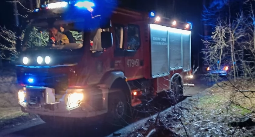 Nocna jazda po pijaku! Kierowcy BMW w Ogniwie uderzył w drzewo! 