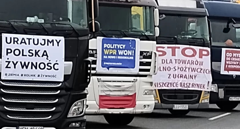 Wipasz S.A.: tylko 4 proc. zakupionego przez nas zboża pochodziło z Ukrainy