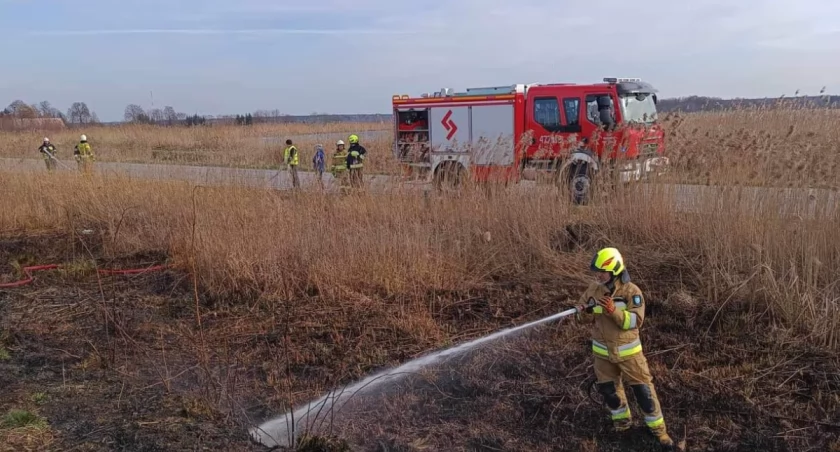 Płonął trawy w gminie Krzywda! Stop wypalaniu! 