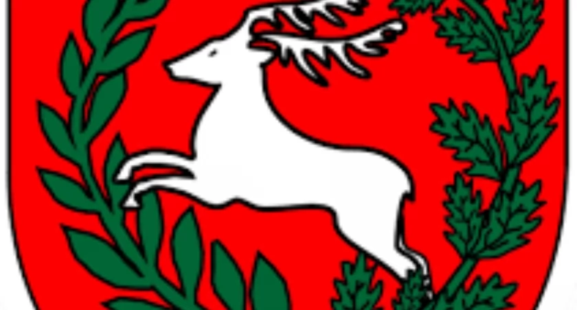 Kandydaci do Rady Gminy Łuków Na liście 31 nazwisk! 