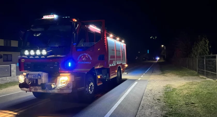 Wypadek w Hucie Dąbrowej: Zderzenie opla z łosiem 