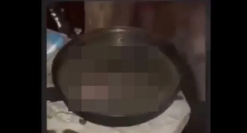 Bestialstwo!  Młodzież złapała i ugotowała żywcem ptaka, który był pod ochroną