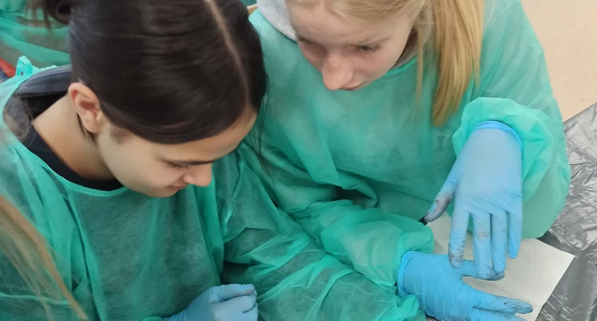 Anatomia serca w Zespole Szkół w Fiukówce - fascynująca lekcja biologii