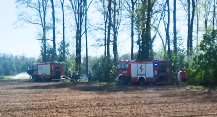 Pożar w Sarnowie. Ktoś grillował w lesie. Skończyło się przyjazdem straży 