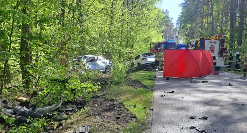 Czarna seria na drogach Lubelszczyzny. 4 osoby nie żyją 