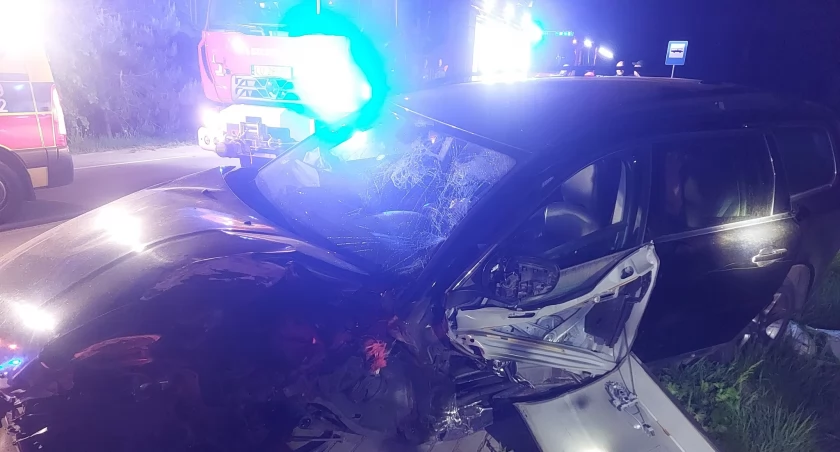 Dwie osoby ranne. Osobówka uderzyła w drzewo! Kierowca pijany!  (FOTO)