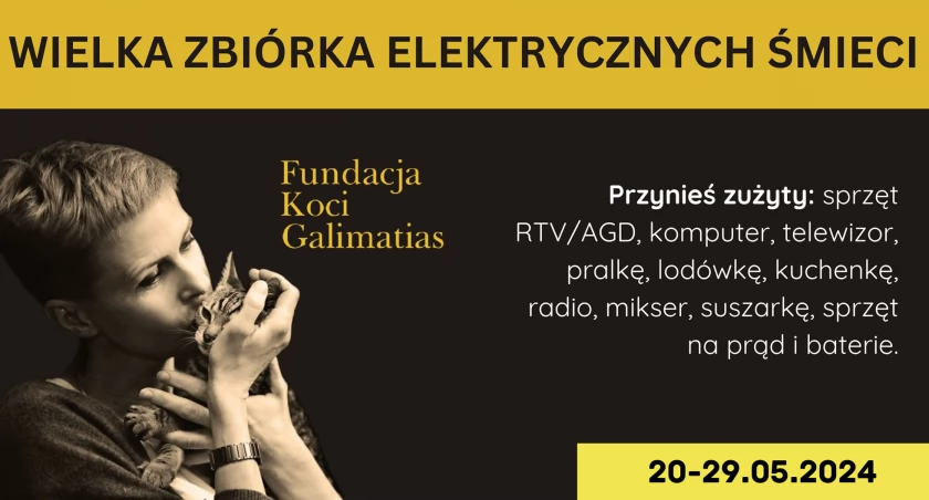 Akcja charytatywna: zbiórka elektroodpadów w Łukowie. Fundacja Koci Galimatias zaprasza