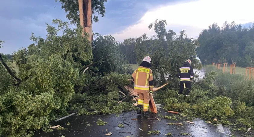 OSP Wojcieszków: Intensywna noc po nawałnicy. Powalone drzewa, zalane podwórka! 