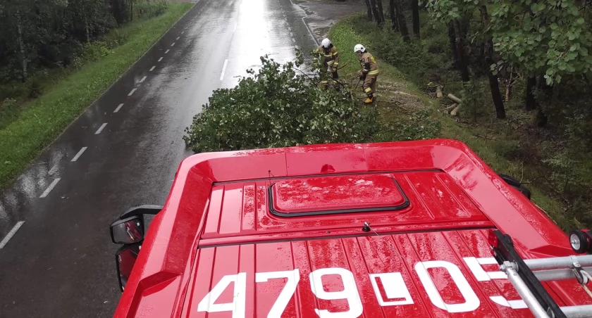 OSP Wola Gułowska w akcji usuwania złamanego drzewa