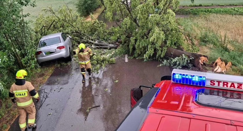 Drzewo zwaliło się na samochód. Co z pasażerami? 