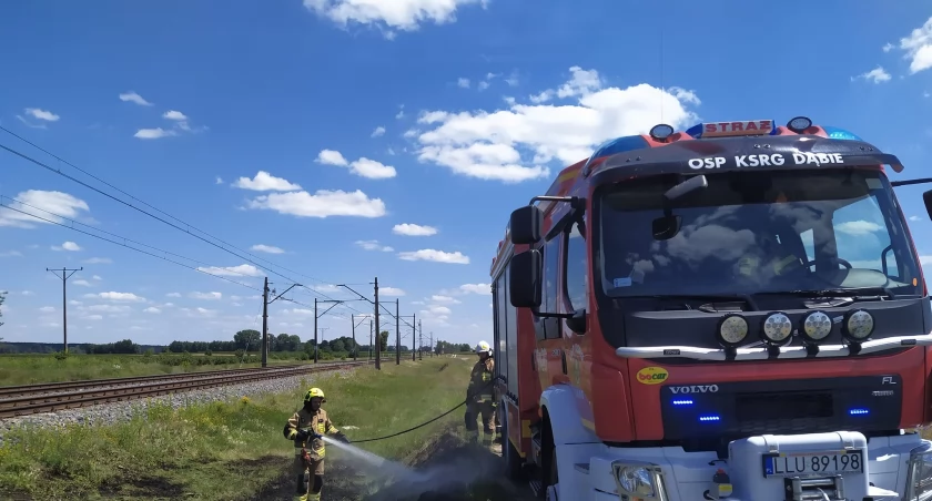 Pożar traw przy przejeździe kolejowym w Dąbiu