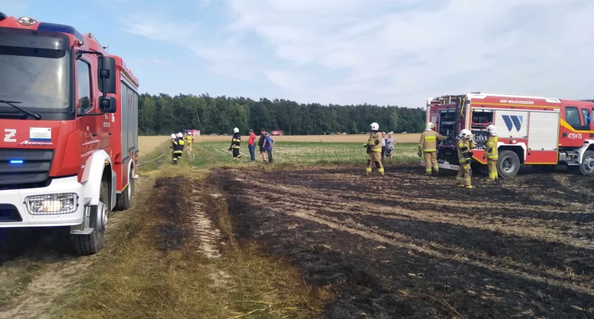 Ogromny pożar zboża w gminie Serokomla: Relacja druhów z OSP Charlejów