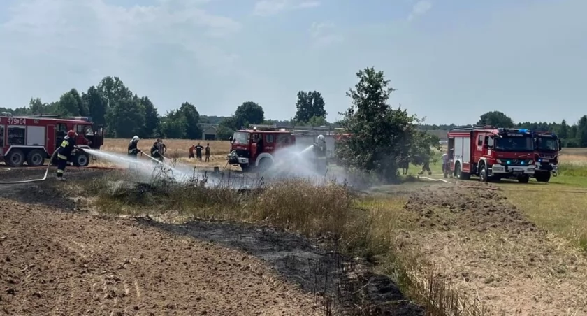 Pożar w miejscowości Gułów opanowany dzięki wspólnym wysiłkom strażaków i rolników