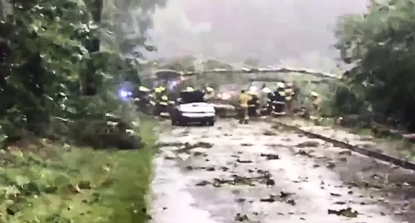 Chwile grozy! Drzewo przewróciło się na pojazd osobowy podczas nawałnicy (WIDEO)