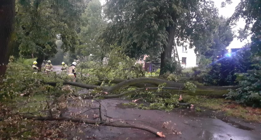 Alarm na drodze Huta Dąbrowa - Radoryż Smolany: Strażacy z OSP Podosie usuwają zagrożenie