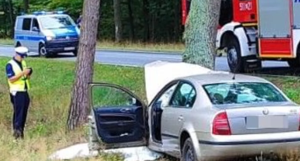 Śmierć na drodze: Skoda uderzyła w drzewo. Nie udało się uratować kierowcy.