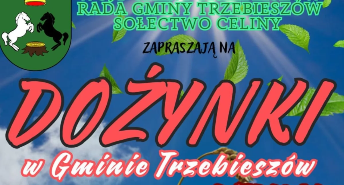 Dożynki w Gminie Trzebieszów – Święto Plonów pełne atrakcji