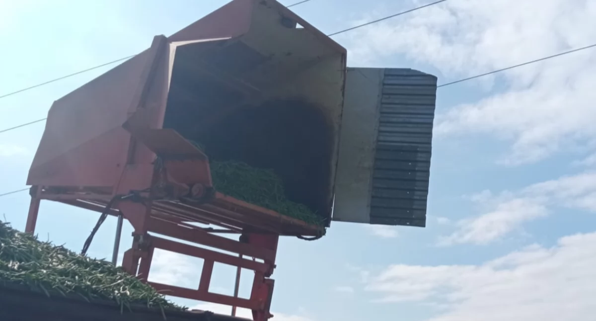 Tragedia podczas prac polowych!  Nie żyje dwóch mężczyzn
