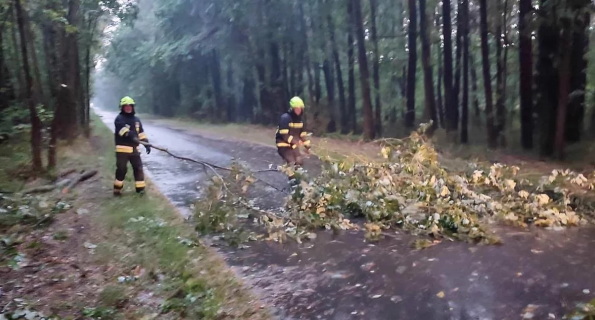 Nawałnica nad Powiatem Łukowskim. Strażacy usunęli powalone drzewo! 