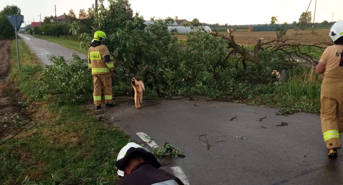 OSP Charlejów walczy ze skutkami nawałnicy! (FOTO)