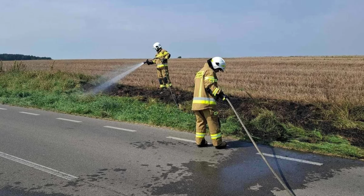 Sprawna interwencja strażaków. Pożar przy drodze Okrzeja-Wola Okrzejska