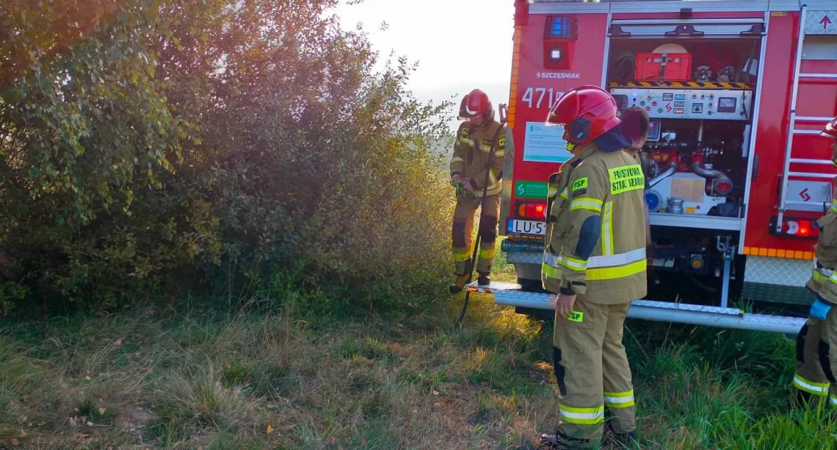 Pożar nieużytków w Dąbiu. Szybka akcja strażaków 